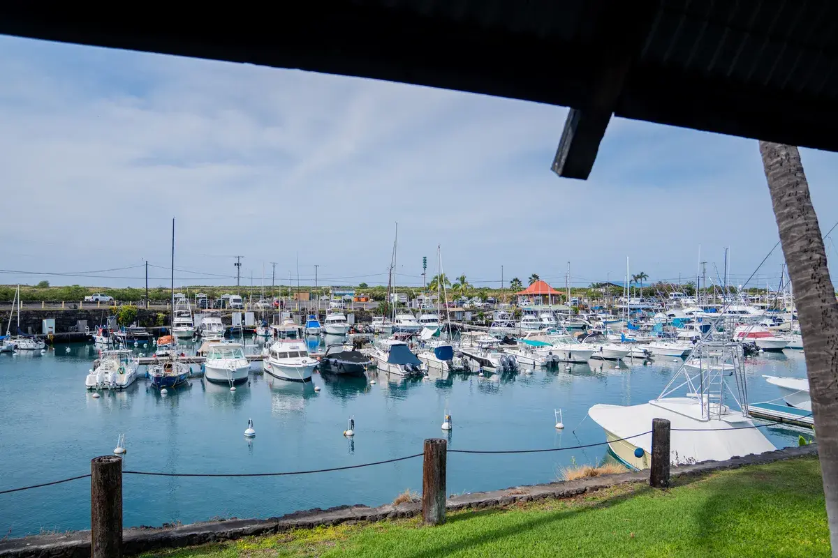 Boats docked at Honokohau Harbor seen from Harbor House