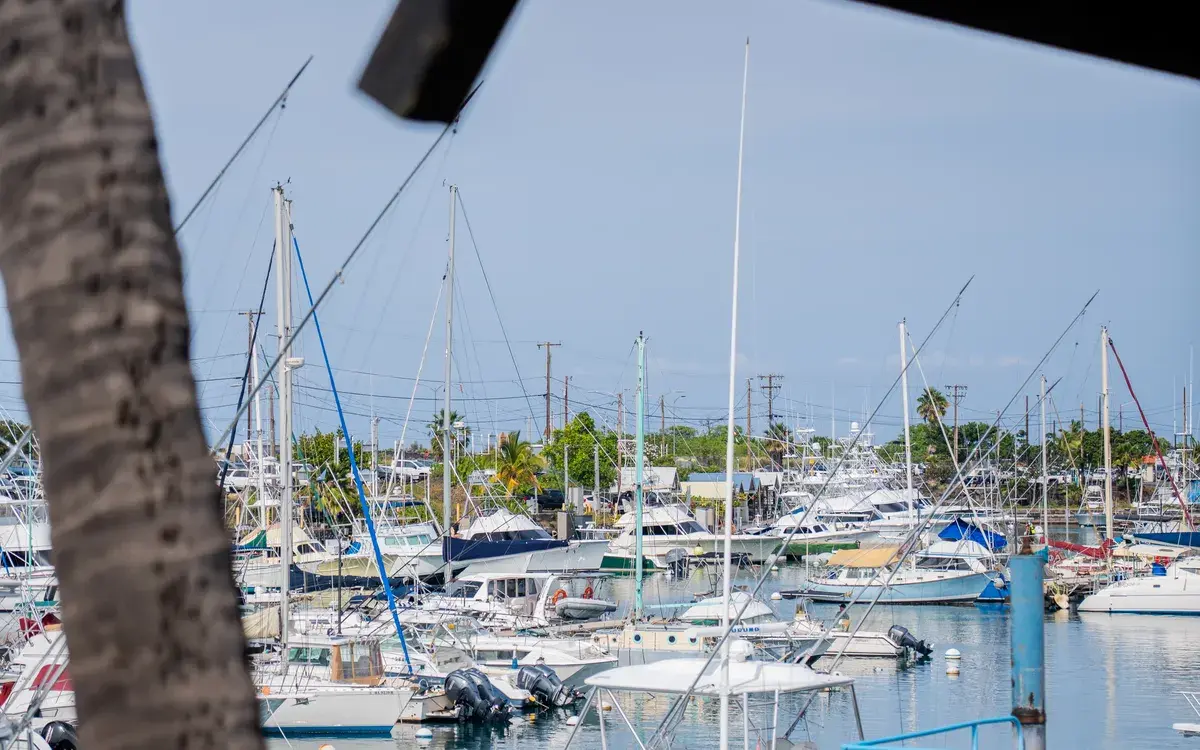 Honokohau Harbor boats seen through the palms from Harbor House