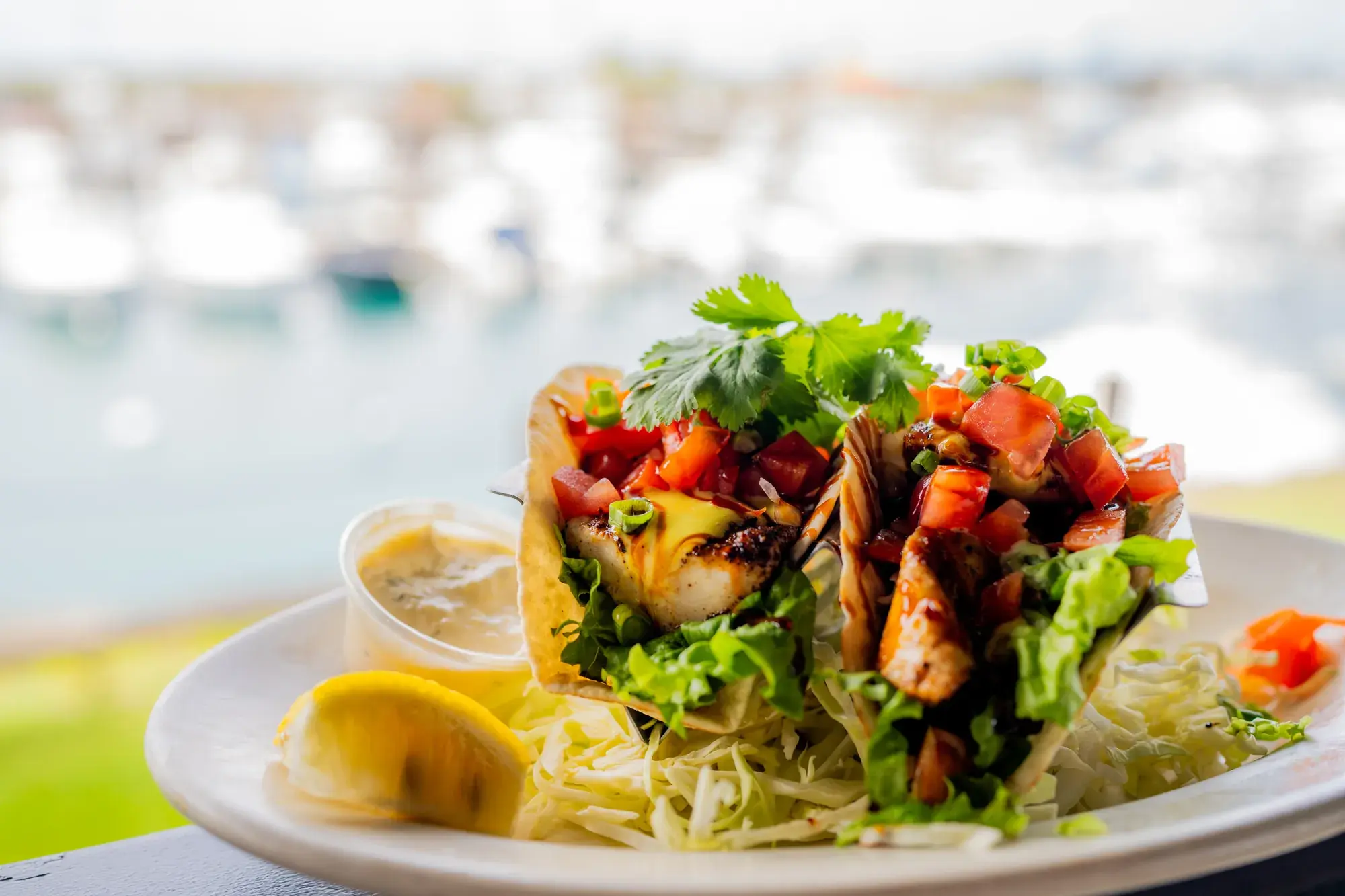 H.H. Combo at Harbor House Kona, Two blackened fish tacos & a domestic schooner.